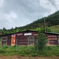 Gremio artístico y cultural externan beneplácito por triunfo de AMLO