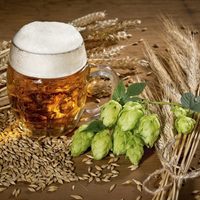 Cerveza barilochense elegida mejor IPA  de Sudamérica