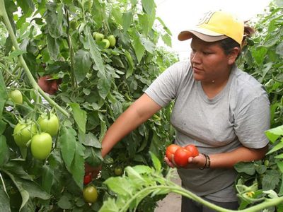 El Gobierno lanzará un programa destinado a mujeres productoras del sector agrícola-ganadero
