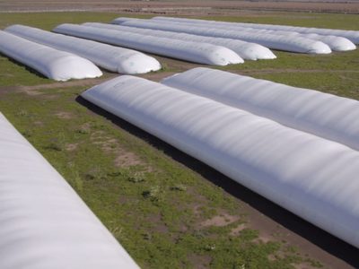 Gobierno vs. campo: Guillermo Francos cuestionó a los productores y la respuesta fue contundente