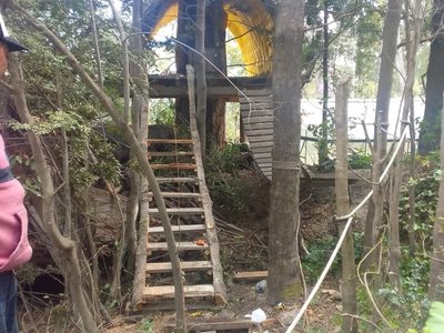 Una biblioteca mágica, única en el mundo y en medio del bosque en Villa La Angostura