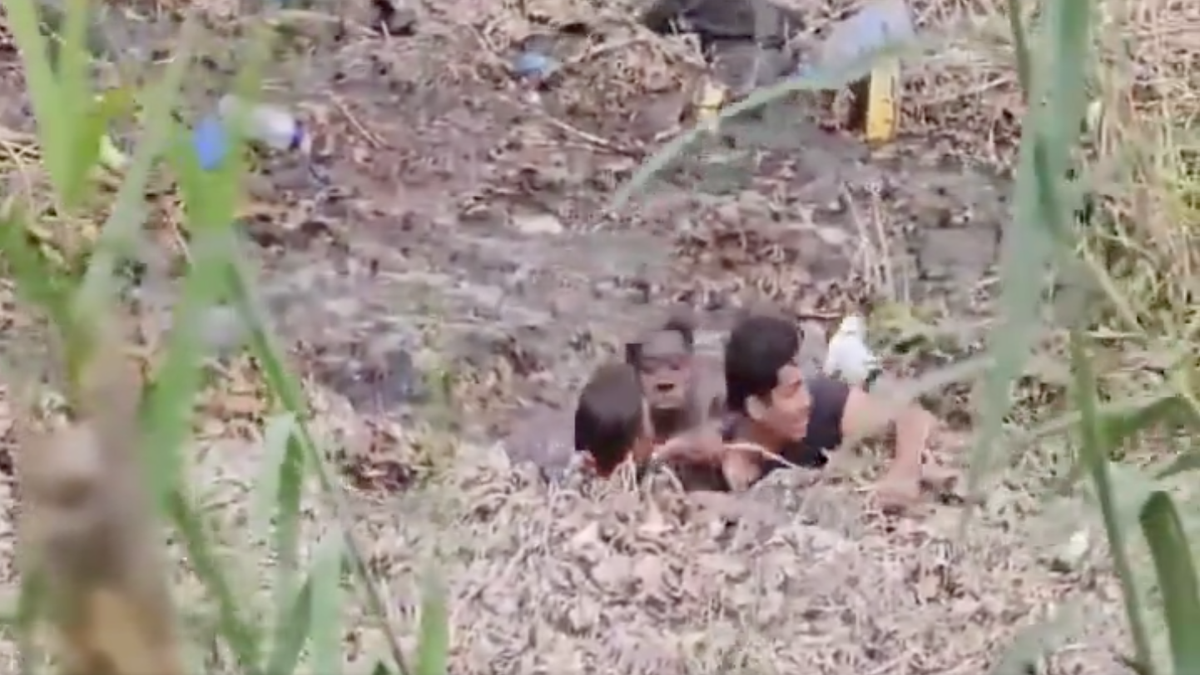 Imagen del video que se viralizó en redes
