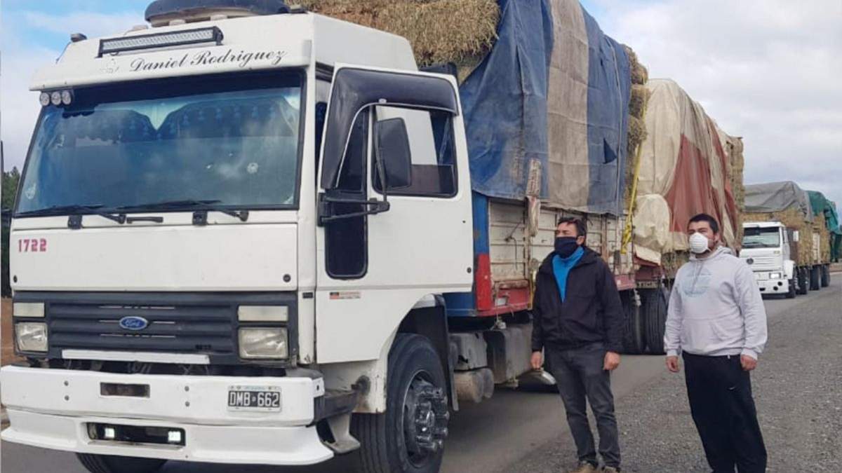 Instantes previos a la distribución de pasto y forraje en Villa Pehuenia y Moquehue. Fuente: (Twitter).