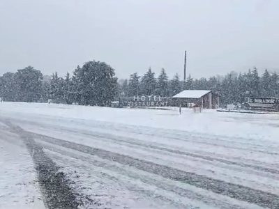 Se cumplió el anuncio y cayó nieve en Buenos Aires