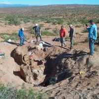Descubren restos fósiles de un nuevo dinosaurio en Neuquén que vivió hace 86 millones de años