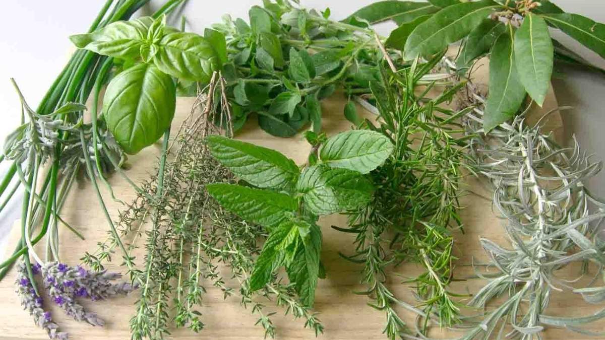 Cómo conservar hierbas aromáticas. Fuente: (Twitter)