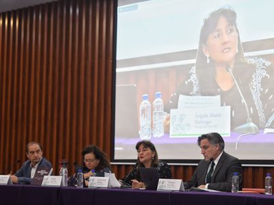 El GIEI solicita prórroga de un mes para continuar el análisis del caso Ayotzinapa