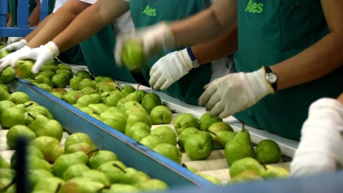 Frutas de exportación, Río Negro. Fuente: (Twitter)
