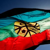 Revuelo: aseguran que en una escuela de Neuquén juraron por la bandera mapuche