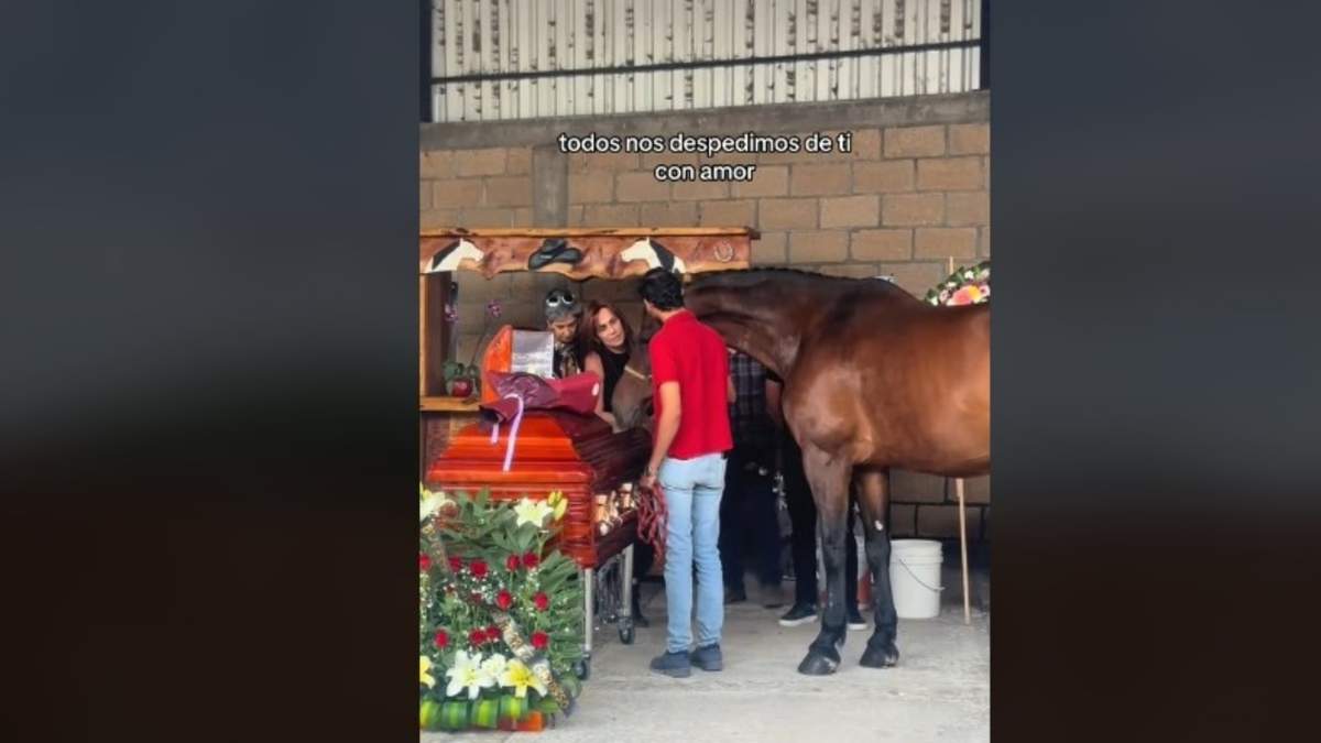 Azul Oliva, quien estuvo presente en este homenaje a puerta cerrada, publicó en Tiktok un video donde asegura que los equinos que Larrea rescató, lloraron ante su partida