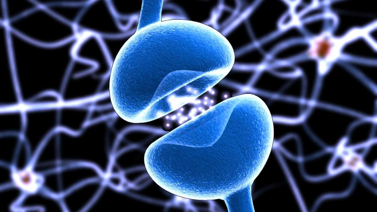 Una enfermedad crónica que afecta al sistema nervioso central