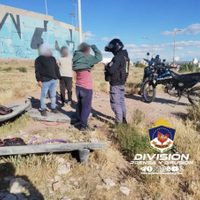 Los sorprendieron mientras robaban cables del tendido público en el oeste de Neuquén