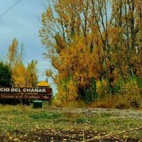 Por pérdidas de gas: de nuevo, tres escuelas sin clases en San Patricio del Chañar