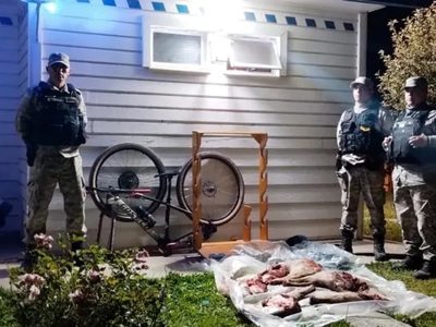 Un hombre fue demorado por transportar una gran cantidad de carne silvestre faenada