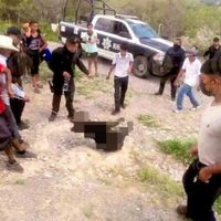 Suspenden a 5 policías que presenciaron tortura y muerte de oso negro en Coahuila