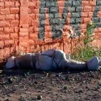 Vecinos hallan cuerpo decapitado y encobijado en Zamora