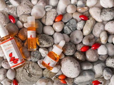 Buscan exportar productos de rosa mosqueta que se fabrican en Bariloche