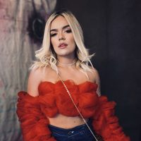 Sobrepasó los límites: Karol G dejó mudos a sus fanáticos con esta secuencia difícil de olvidar