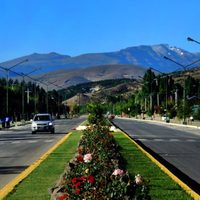Buscan al hombre que golpeó a una perra contra el suelo hasta matarla