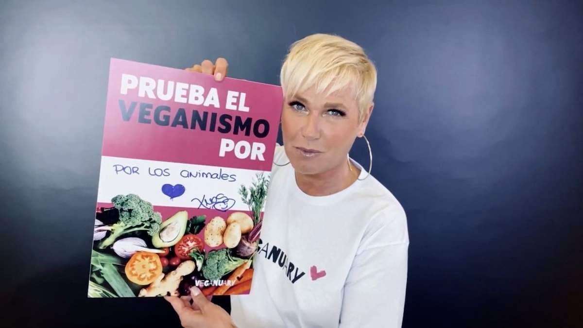 Casi medio millón de personas serán veganas en enero. Fuente: (Instagram)