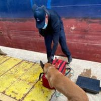 Hallan 37 kilos de cocaína en buque colombiano en Michoacán