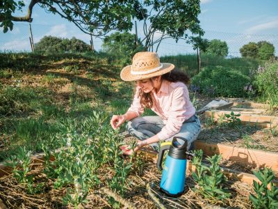Calendario lunar de marzo: cuáles son los mejores días para sembrar plantas