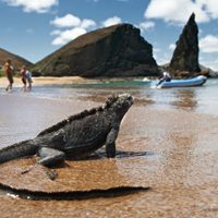 Ecuador ampliará la reserva de las Galápagos y pide un canje de deuda a cambio