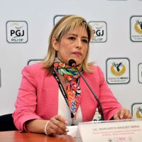 Detienen a un joven de 16 años que mató a su madre en Xochimilco