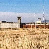 Autoridades ocultan motín en penal de Guanajuato contra medidas por covid-19
