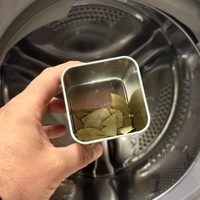 La planta que tenés que poner dentro del lavarropas para cuidar y perfumar tus prendas