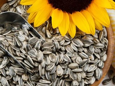 Receta viral: la forma más rica y saludable de comer semillas de girasol y obtener así una poderosa fuente de vitaminas