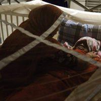 La OMS advierte que la incidencia del dengue ha aumentado "notablemente" en 20 años