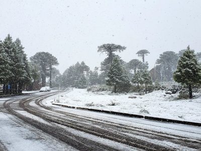 Alerta naranja por fuertes nevadas y viento blanco en la cordillera de Neuquén