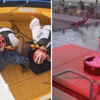 Tripulante de crucero Royal Caribbean apuñala a compañera, se lanza al mar y muere (Videos)