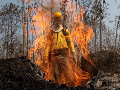 Brasil: nuevos incendios forestales en la Amazonía rompen récords históricos