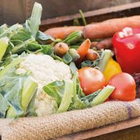 Acuerdo clave entre la Municipalidad de Zapala y el Banco Patagónico de Alimentos