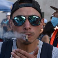 El presidente del Senado urge retirar "tianguis" de mariguana afuera del recinto