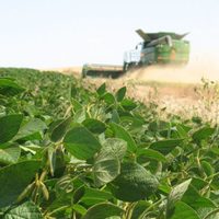 Alimentos que impactan en el cambio climático y el calentamiento global