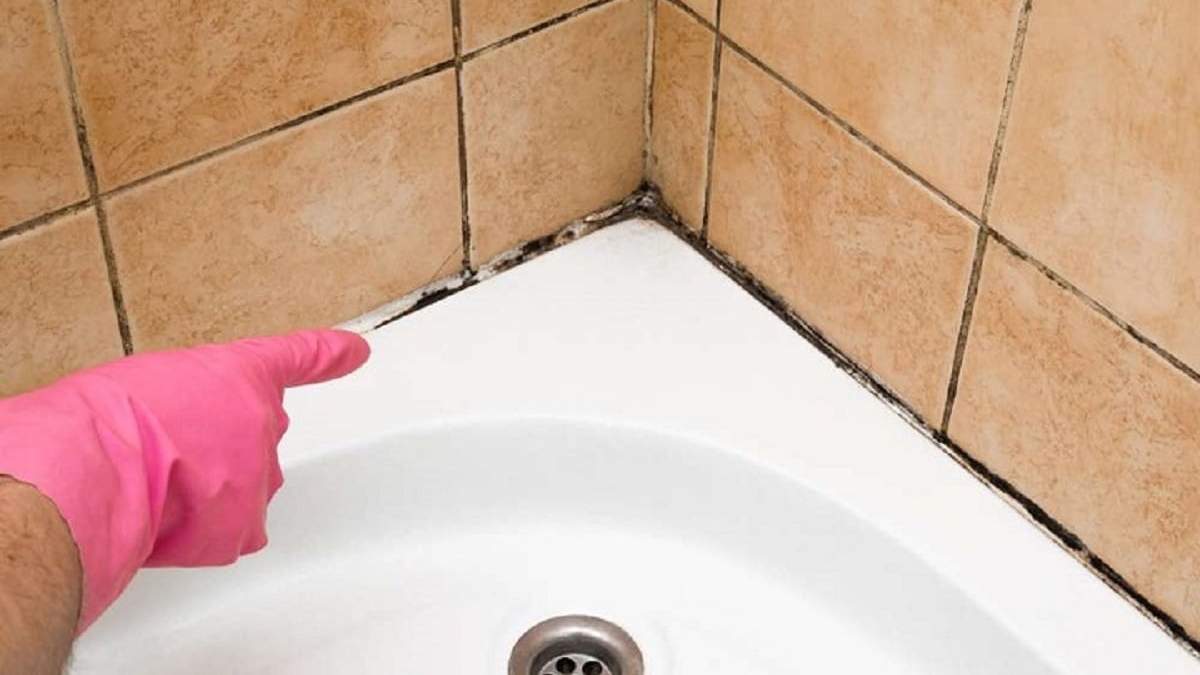 Sarro. Fuente: (Cocina Vital)