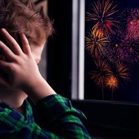 Neuquén Capital creó una app para erradicar la pirotecnia de las fiestas
