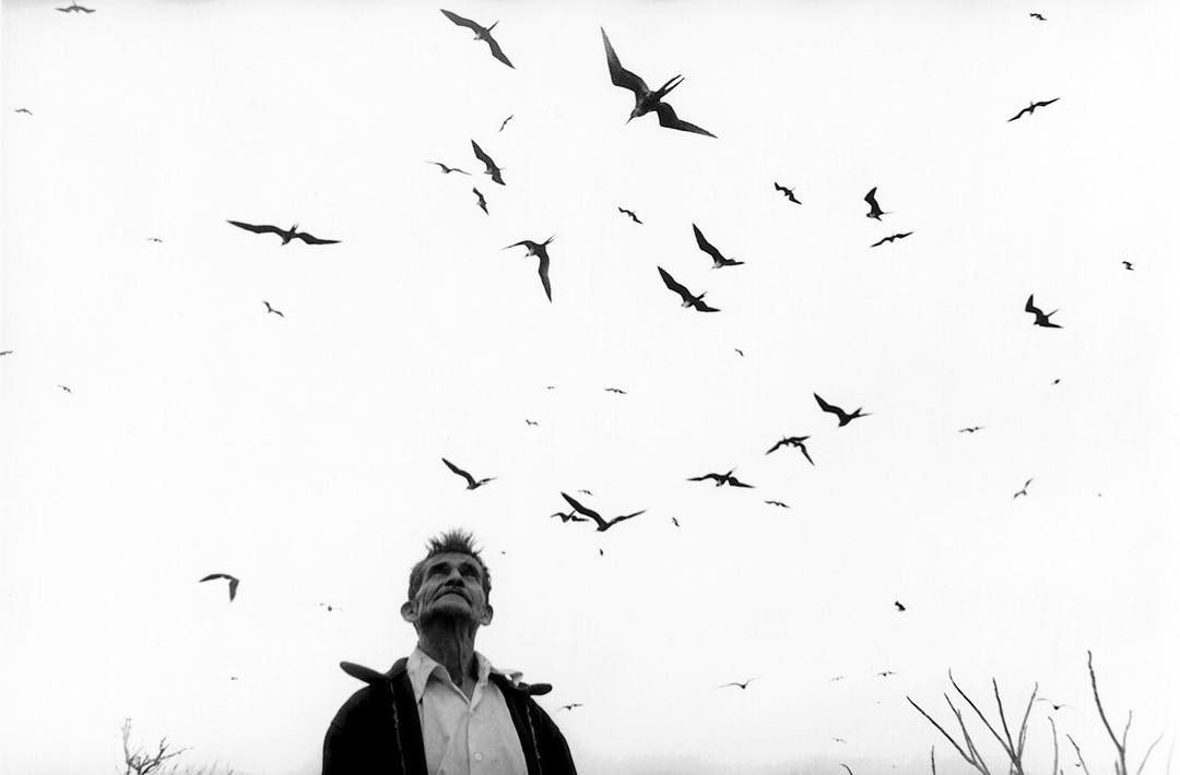 El señor de los pájaros, Nayarit, México, 1984. (1)