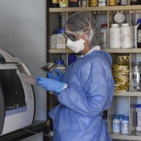 En lo que va del año, los casos de coronavirus caen en un 88%