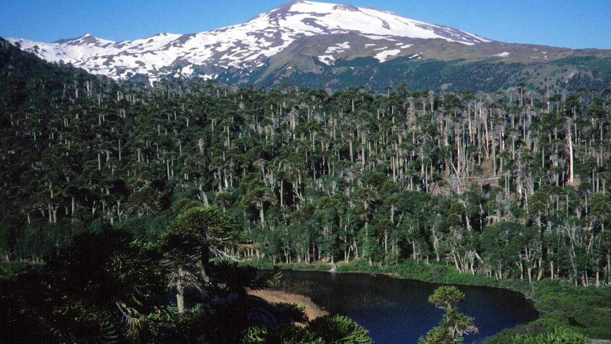 Copahue. Fuente:(X).