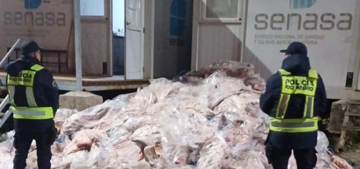 No era arena, sino 7800 kilos de carne transportados de manera irregular. Fuente (Policía de Río Ngro)