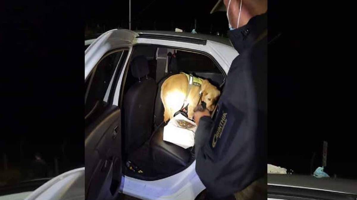 El hombre fue sorprendido cuando intentaba ingresar droga zombi a Chile. Fuente: (La Angostura Digital)