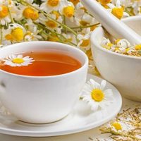 Si sos de los que toman una infusión a la noche, descubrí los beneficios de la manzanilla y su efecto en el cuerpo