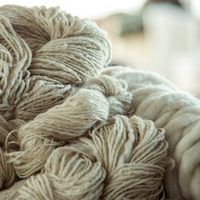 Zapala: expectativa de productores de mohair para comercializar la fibra