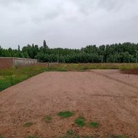 Vecinos de Valentina Sur Rural piden mayor seguridad ante una ola de “robos y vandalismo”