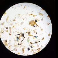 Alerta sobre las enormes cantidades de nanoplásticos en la atmósfera: nuevo estudio