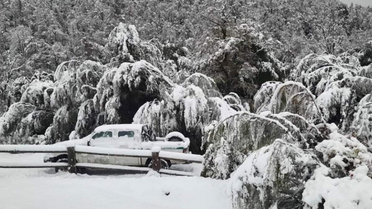 Nevadas en cotas medias y altas de la meseta en el centro de la Provincia de Neuquén. Fuente: (Facebook)